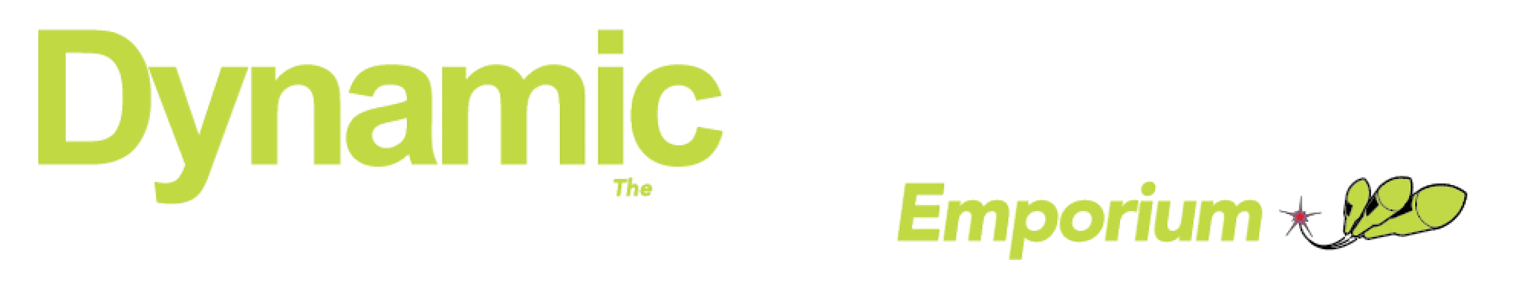 Dynamic Fireworks logo