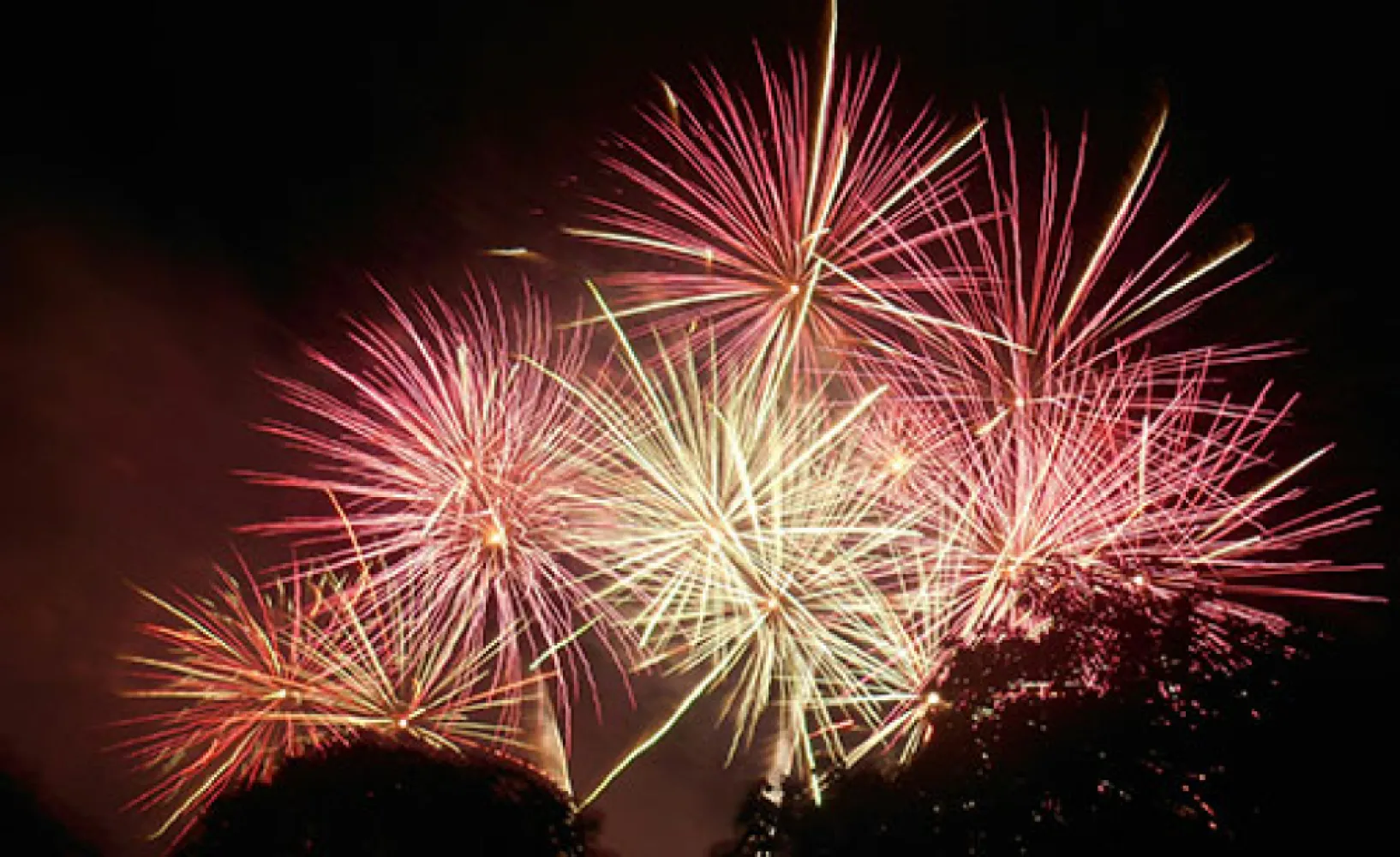 How many fireworks are used each year