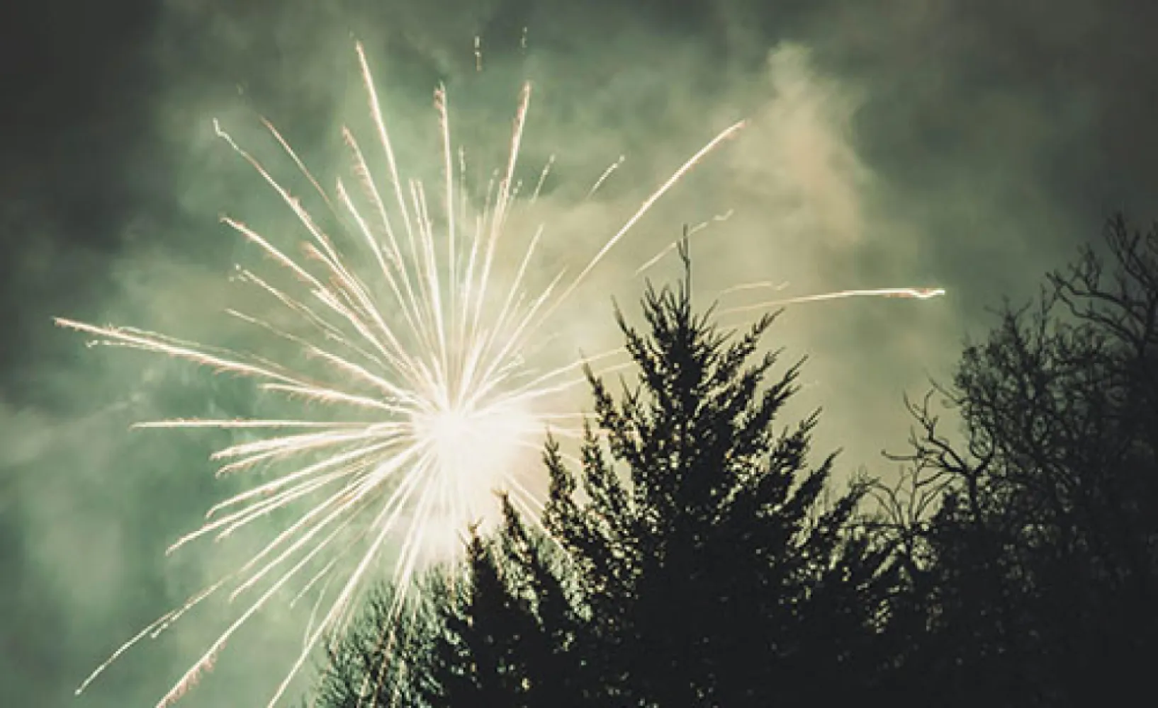 How many fireworks are used each year