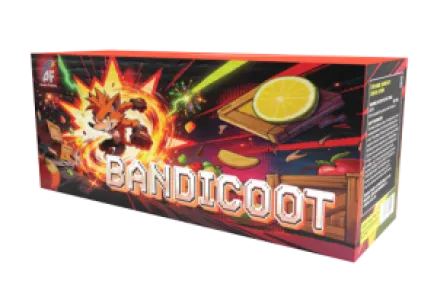 Bandicoot