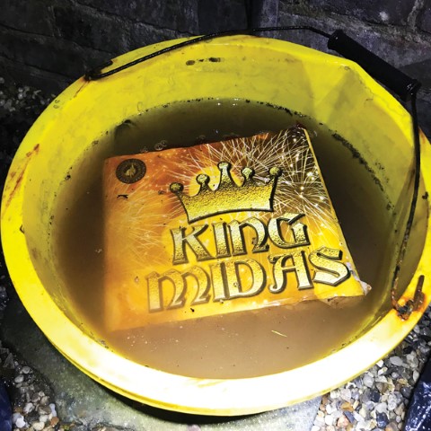 Place failed firework in a bucket of water